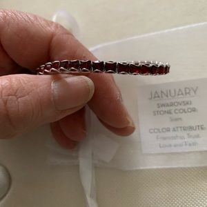 Touchstone Crystal by Swarovski January Stretch Birthdtone Bracelet